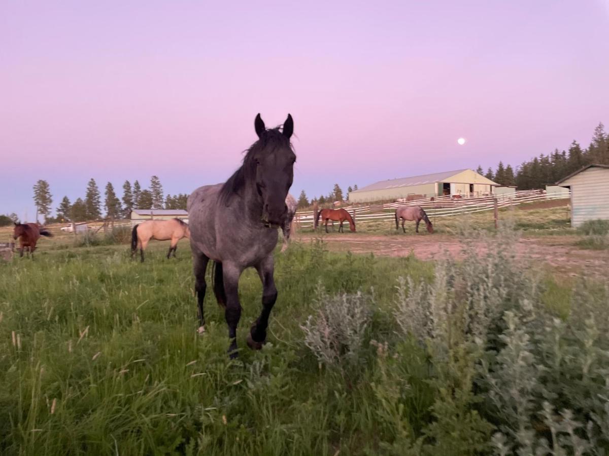 Authentic Barn Bnb Villa Spokane Exterior photo