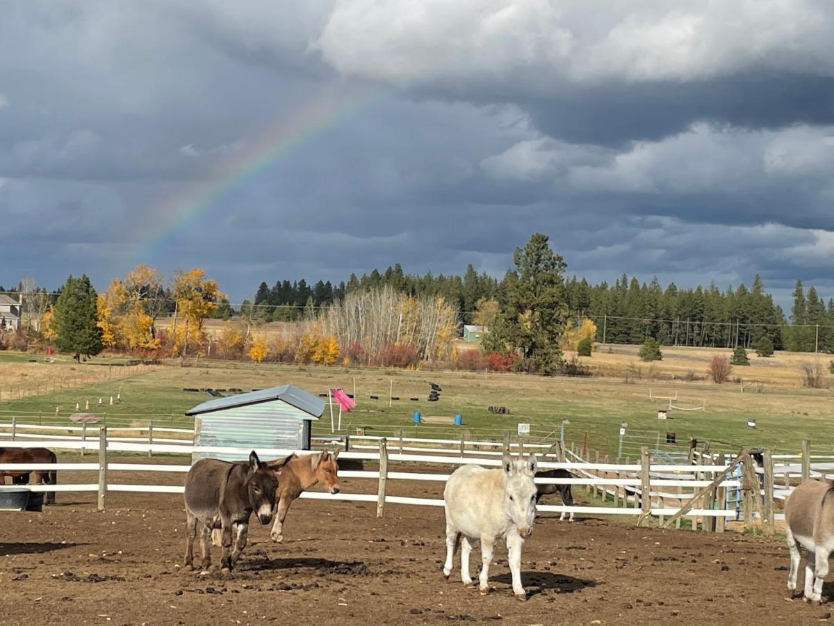 Authentic Barn Bnb Villa Spokane Exterior photo